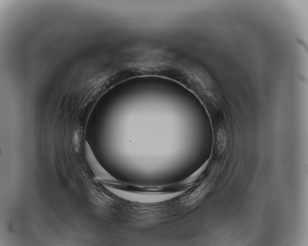 X0000096471300200801311525