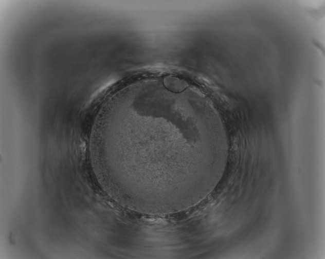 X0000096471302200801311525