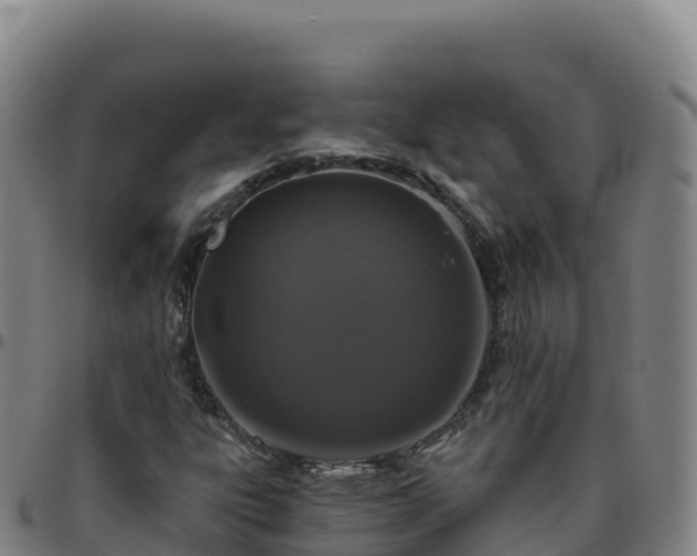 X0000096471303200801311525