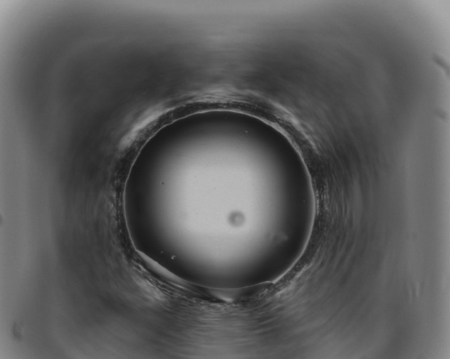 X0000096471304200801311525