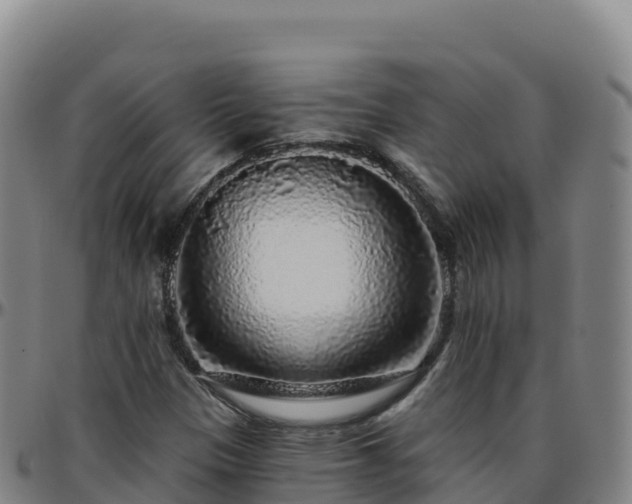 X0000096471305200801311525