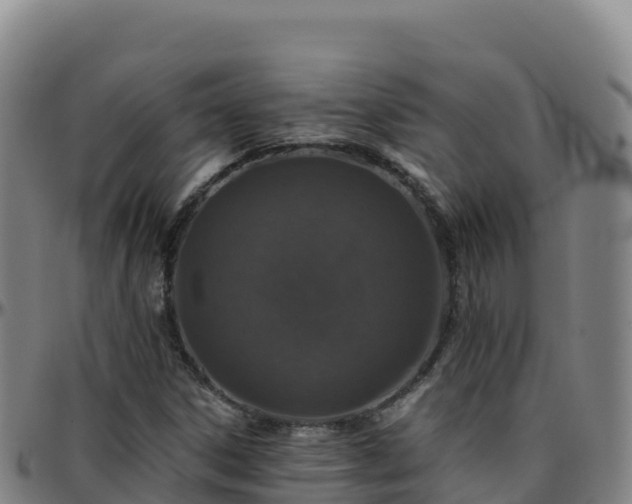 X0000096471306200801311525