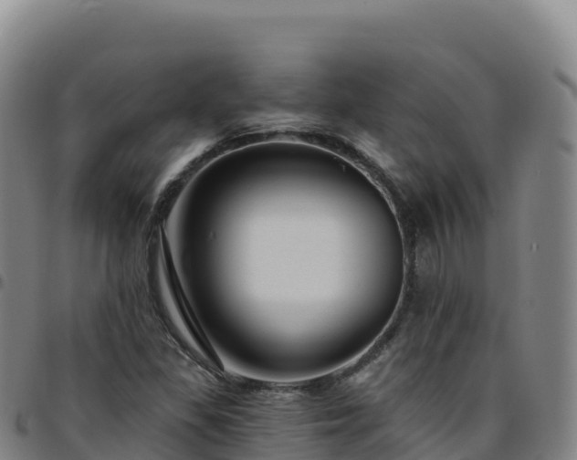 X0000096471309200801311525