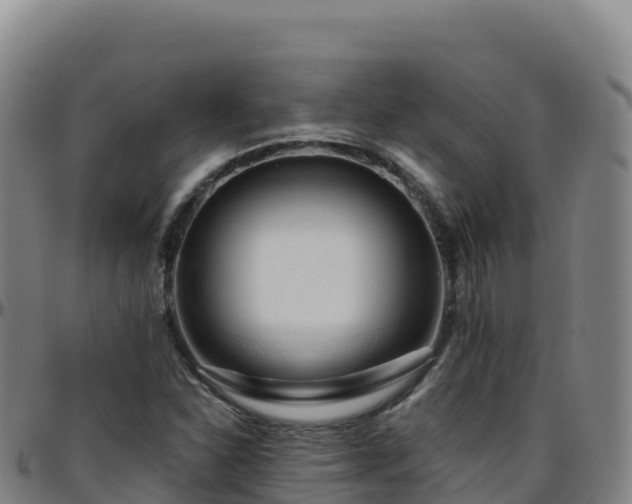 X0000096471310200801311526