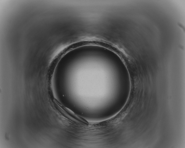 X0000096471311200801311526