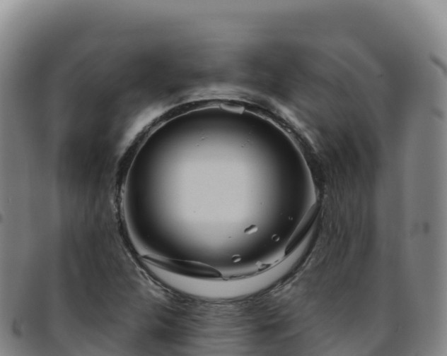 X0000096471312200801311526