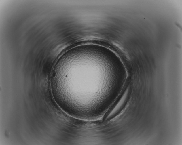 X0000096471313200801311526