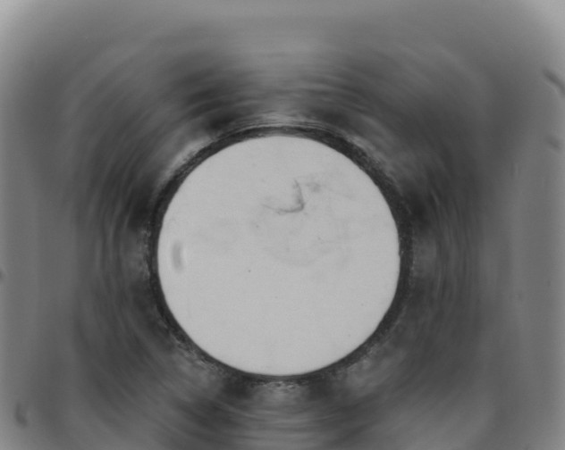 X0000096471314200801311526