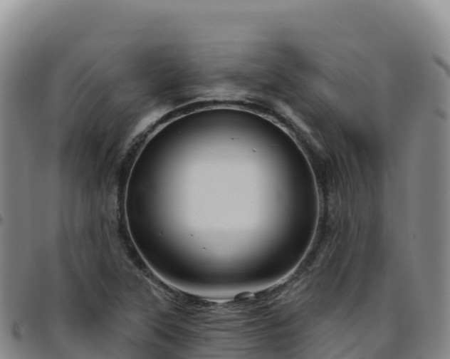 X0000096471315200801311526