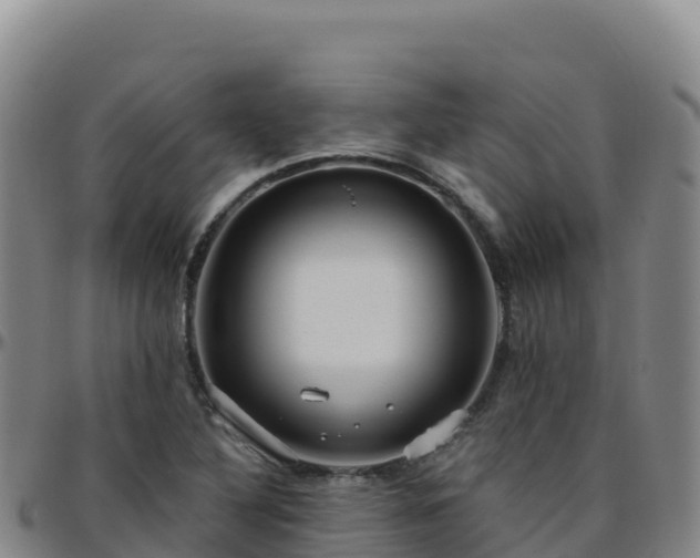 X0000096471316200801311526