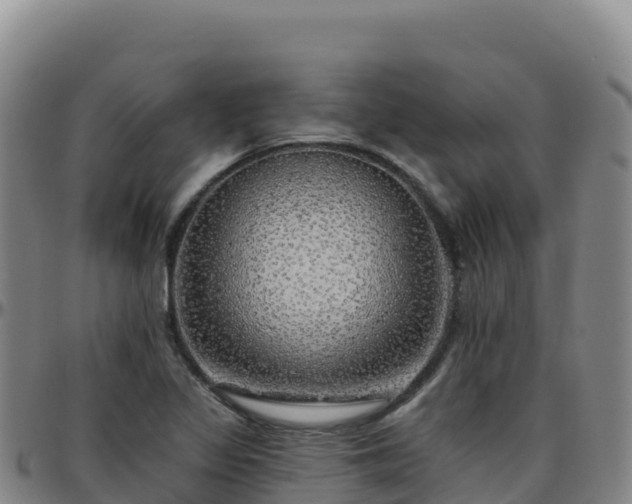X0000096471317200801311526
