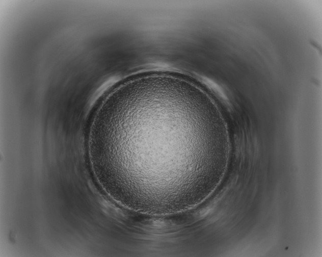 X0000096471318200801311526
