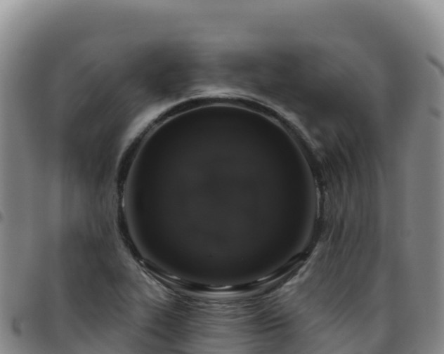 X0000096471319200801311526