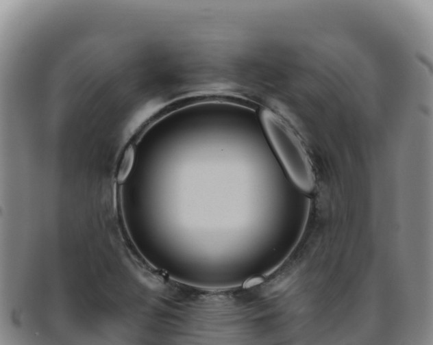 X0000096471320200801311526