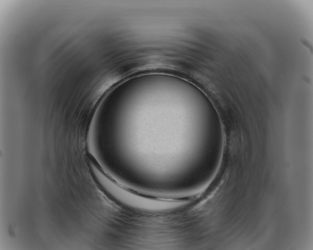 X0000096471321200801311526