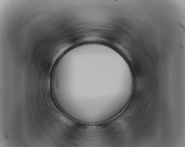 X0000096471322200801311526