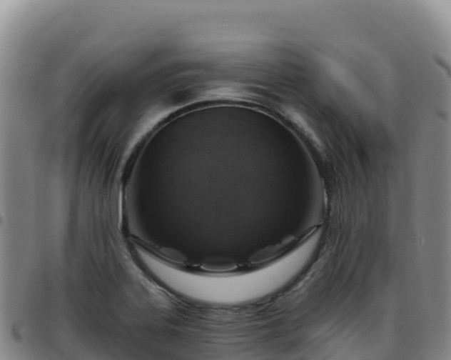X0000096471323200801311526