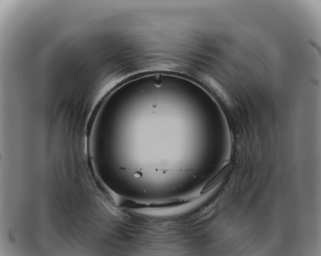 X0000096471324200801311526