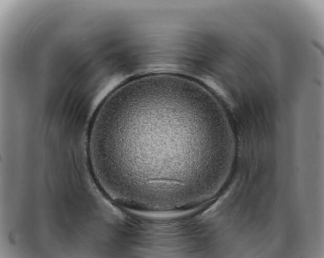 X0000096471325200801311526