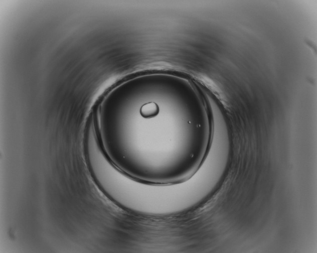 X0000096471326200801311526