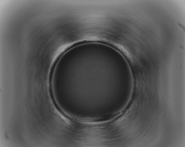 X0000096471327200801311526