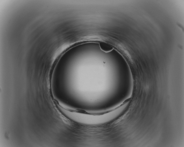 X0000096471328200801311526