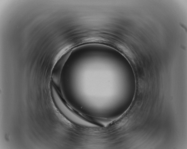 X0000096471330200801311526
