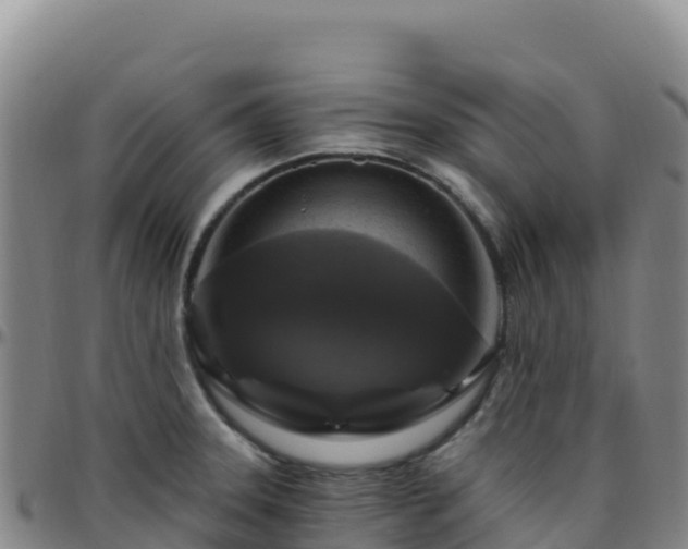 X0000096471331200801311526