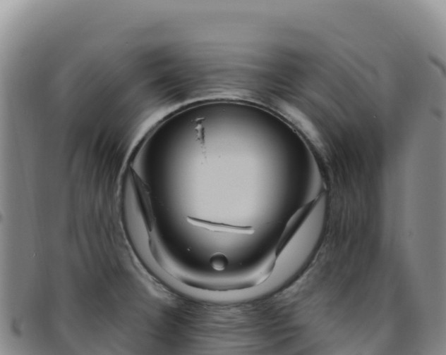 X0000096471332200801311526