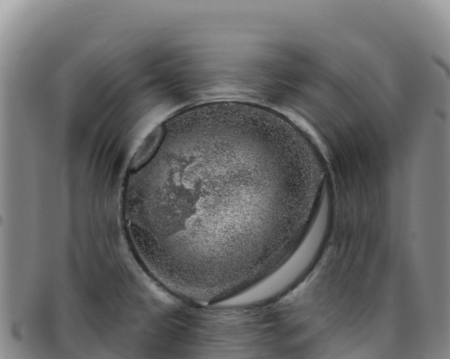 X0000096471333200801311526