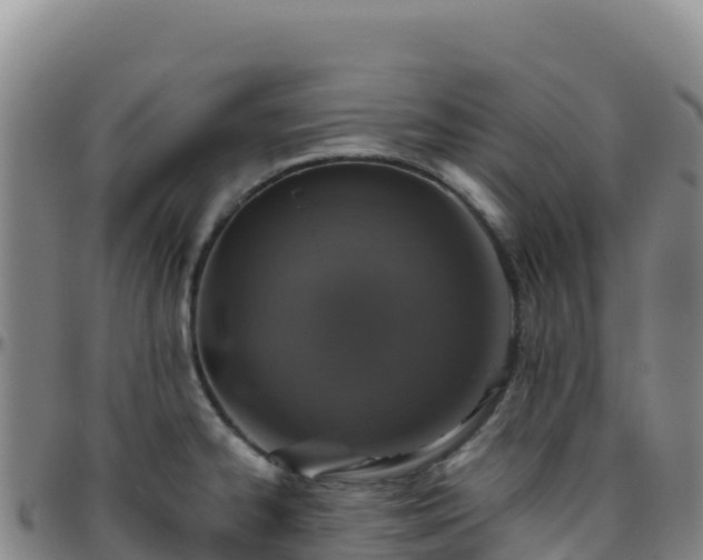 X0000096471334200801311526