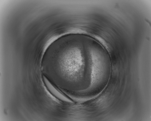 X0000096471335200801311526