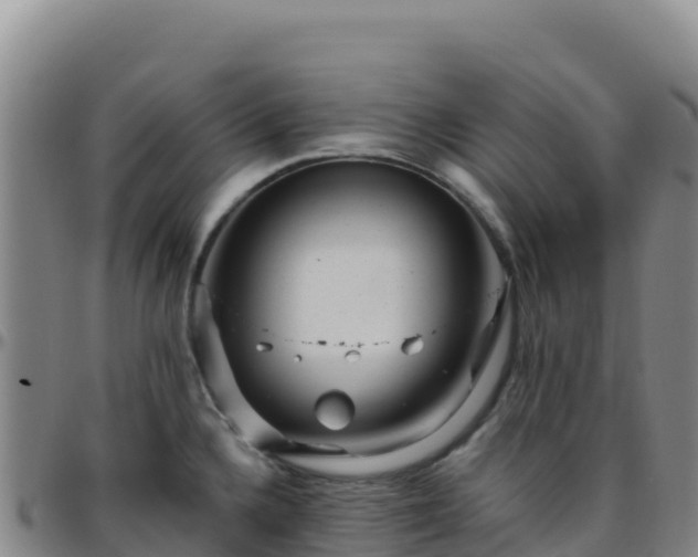 X0000096471336200801311526