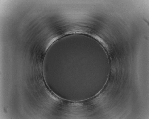 X0000096471337200801311526
