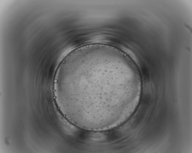 X0000096471338200801311526