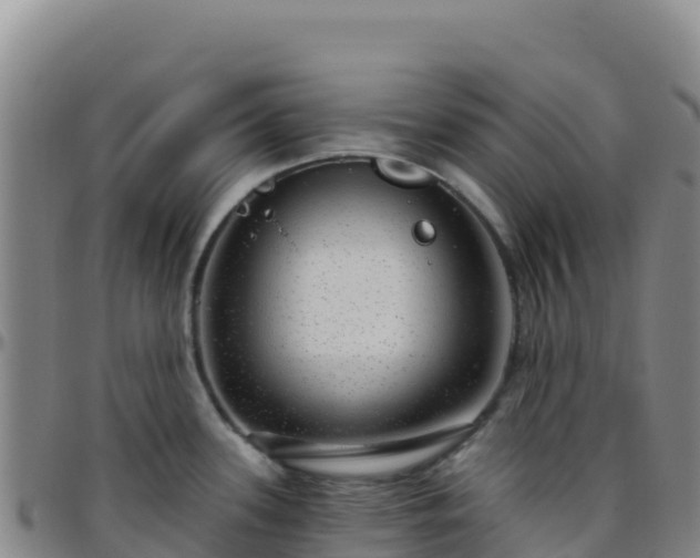 X0000096471339200801311526
