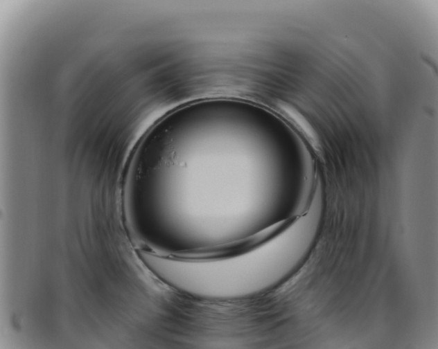 X0000096471340200801311526