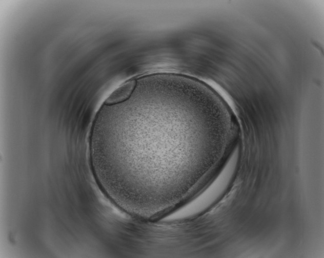 X0000096471341200801311526