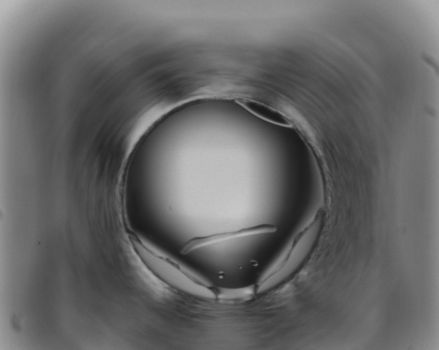 X0000096471344200801311526