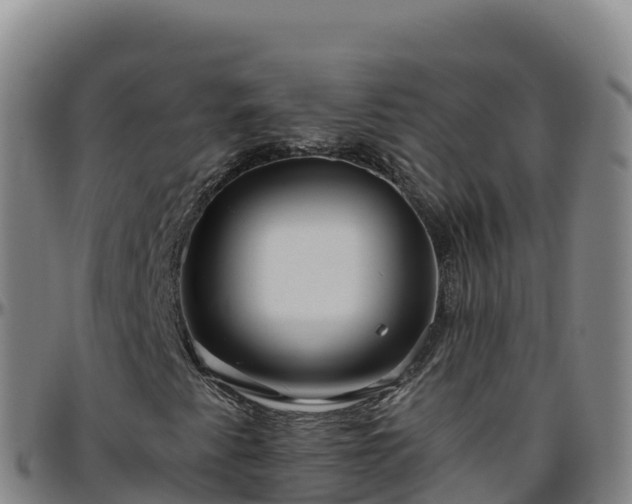 X0000096471345200801311525