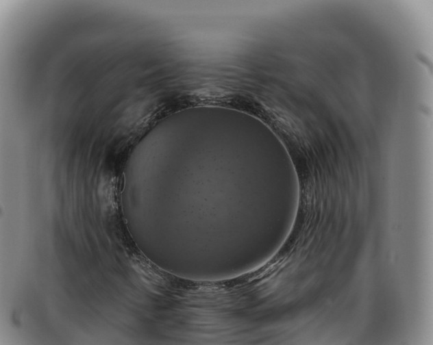 X0000096471346200801311525