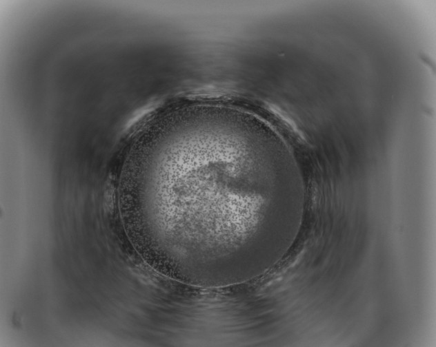 X0000096471350200801311525