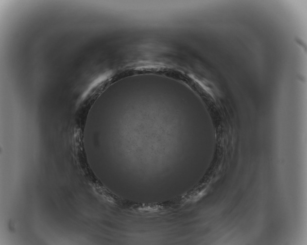 X0000096471351200801311525