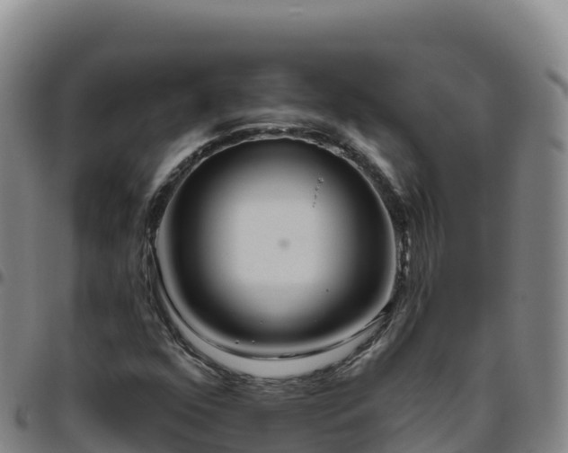 X0000096471352200801311525