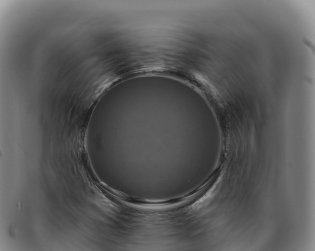X0000096471353200801311525