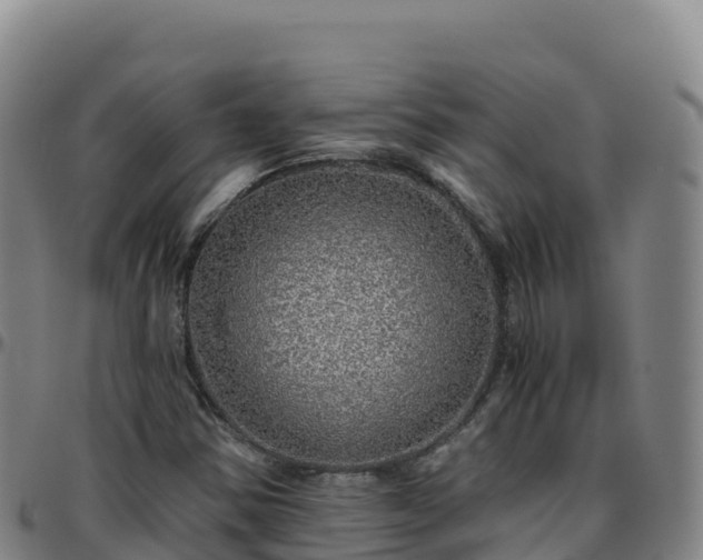 X0000096471354200801311525