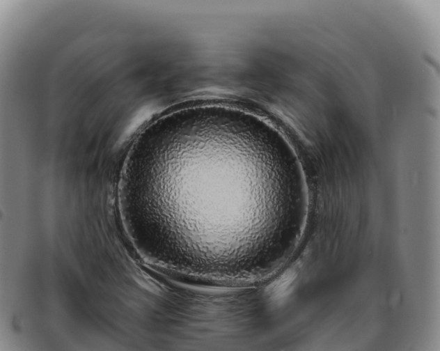 X0000096471355200801311525