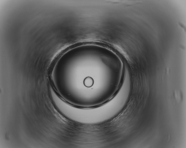 X0000096471356200801311525