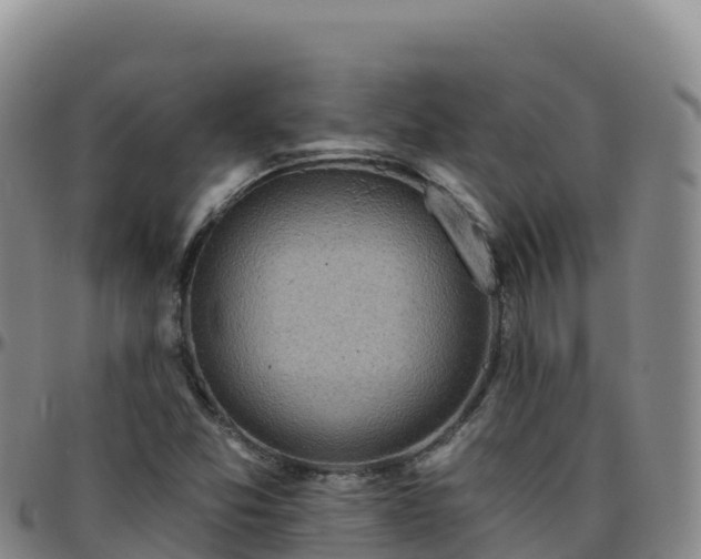 X0000096471357200801311525