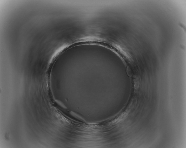 X0000096471358200801311525